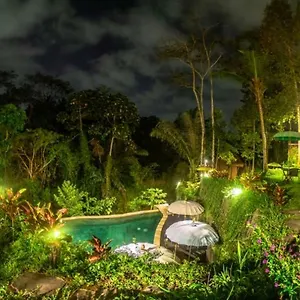  Villa The Jungle Indonésie